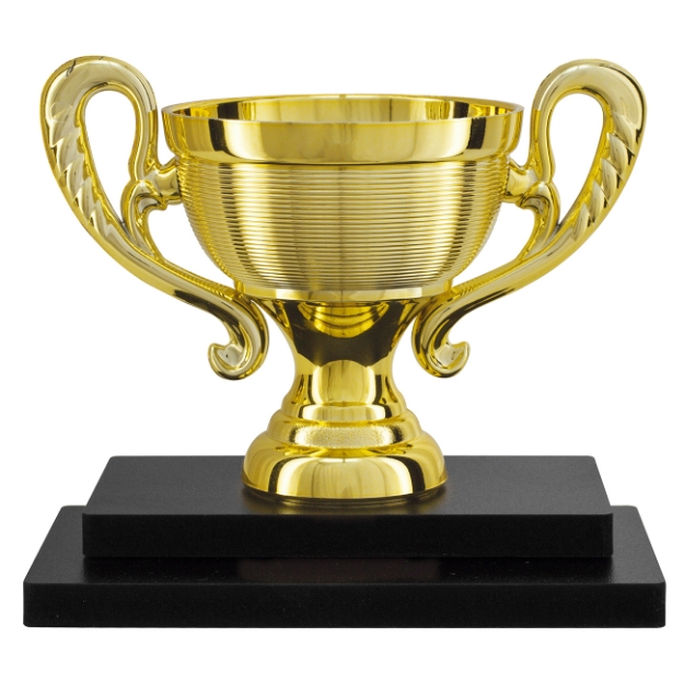 Imagem de TROFÉU PARA PREMIAÇÃO GERAL COM BASE DE MDF E TAÇA METALIZADA - PLM-823-DO