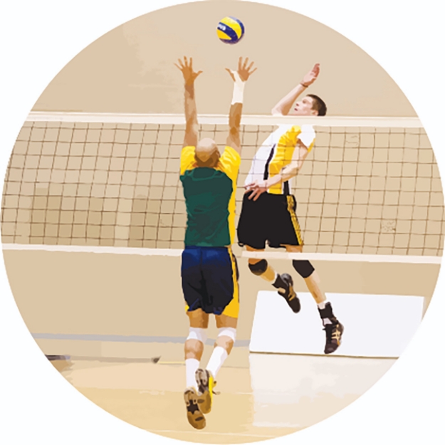 Imagem de ADESIVO MODALIDADE VOLEIBOL MASCULINO EM VINIL PARA MEDALHA - DA-35-VLM