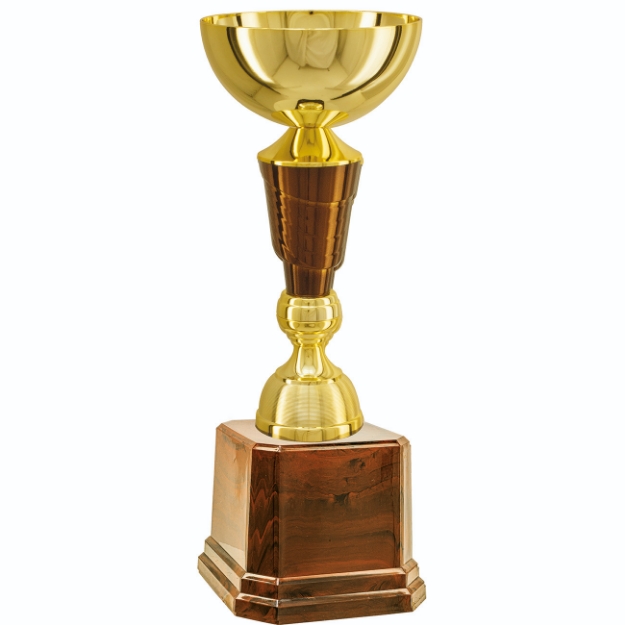 Imagem de TROFÉU MÉDIO COPA ABERTA EM POLÍMERO METALIZADO - 48 CM - 402805-CAS