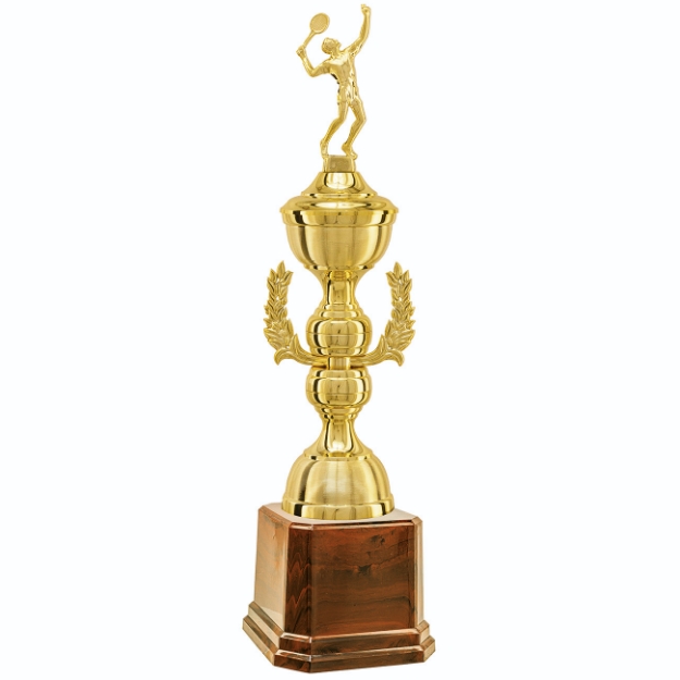 Imagem de TROFÉU MÉDIO EM POLÍMERO METALIZADO - 67 CM - 402791-DO