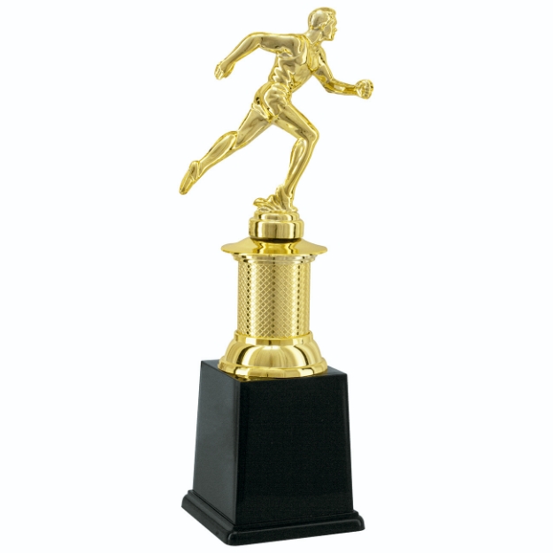 Imagem de TROFÉU PEQUENO EM POLIMERO METALIZADO -  26 CM - 504151-DO