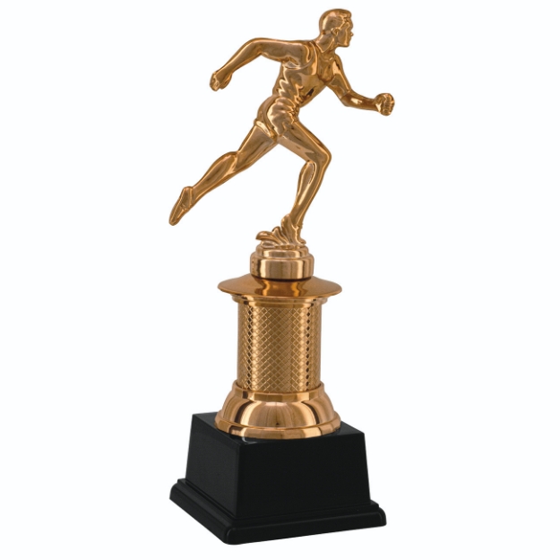 Imagem de TROFÉU PEQUENO EM POLIMERO METALIZADO -  22 CM - 504153-BZN