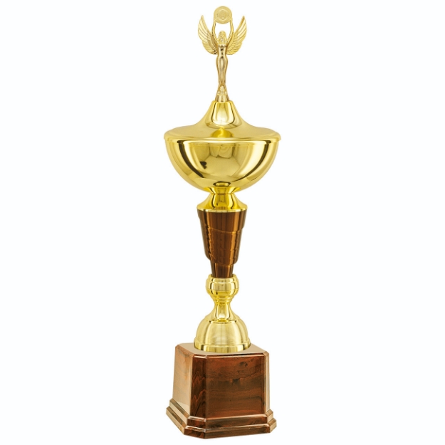 Imagem de TROFÉU MÉDIO COPA EM POLÍMERO METALIZADO - 74 CM - 402801-CAS